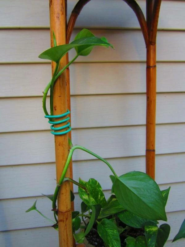 Brand new โค๏ธ Happy Hydro Garden Soft Tie | 26ft Planting & Watering ๐ 3 Happy Hydro Garden Soft Tie | 26ft Planting & Watering