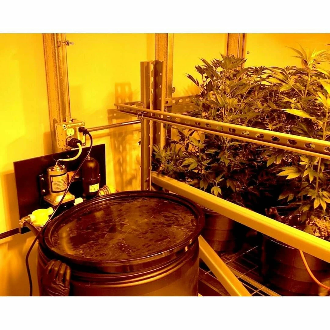 Cheapest ❤️ Blumat Basic Pump System ❤️ 2 Blumat Basic Pump System