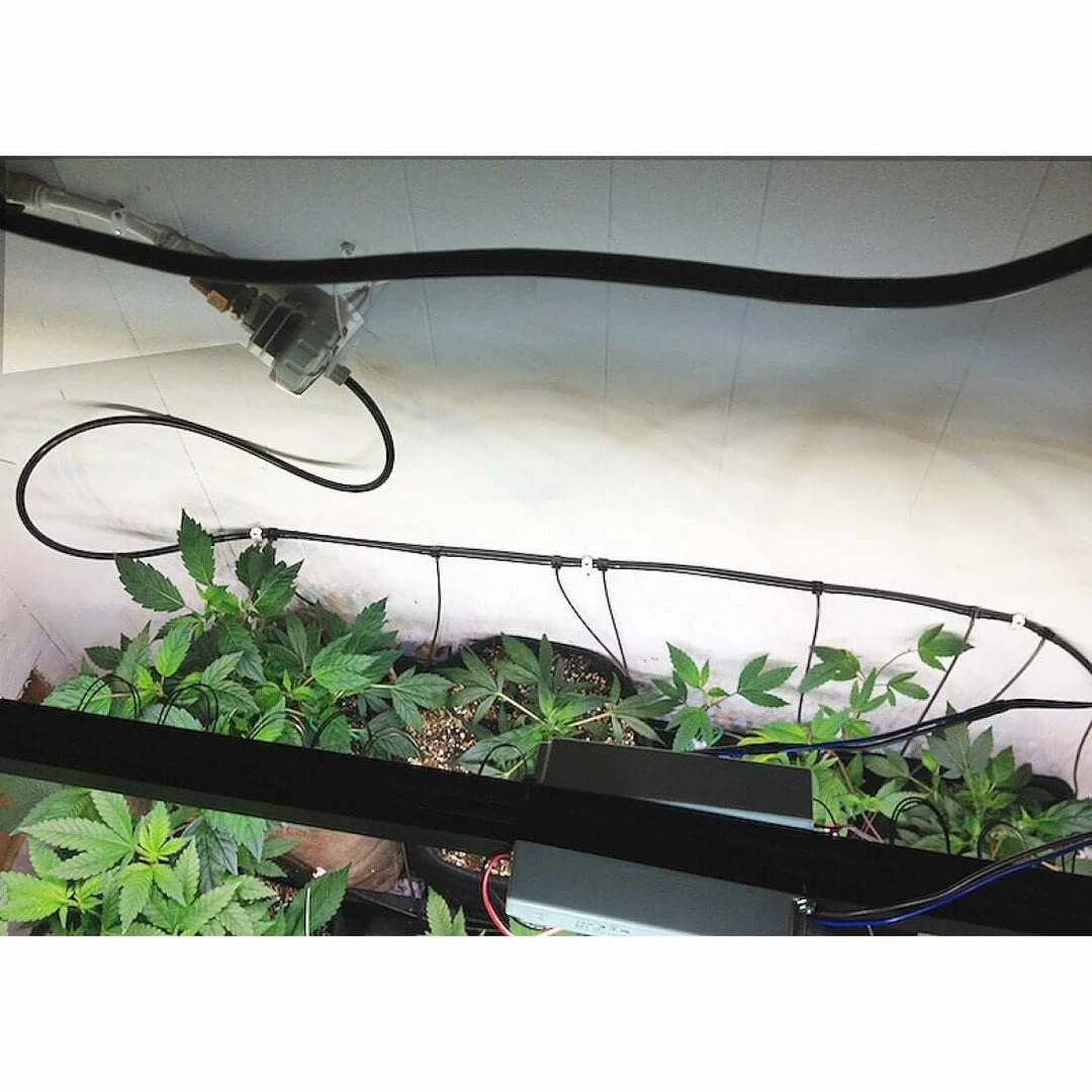 Cheapest ❤️ Blumat Basic Pump System ❤️ 4 Blumat Basic Pump System