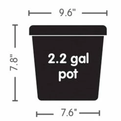 Best deal 🌟 AutoPot | 8-Pot Tray Watering System 🥰 6 AutoPot | 8-Pot Tray Watering System