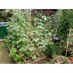 Cheap โ๏ธ Planting & Watering Blumat Large Hose Pressure Garden Kit ๐ 7 Planting & Watering Blumat Large Hose Pressure Garden Kit