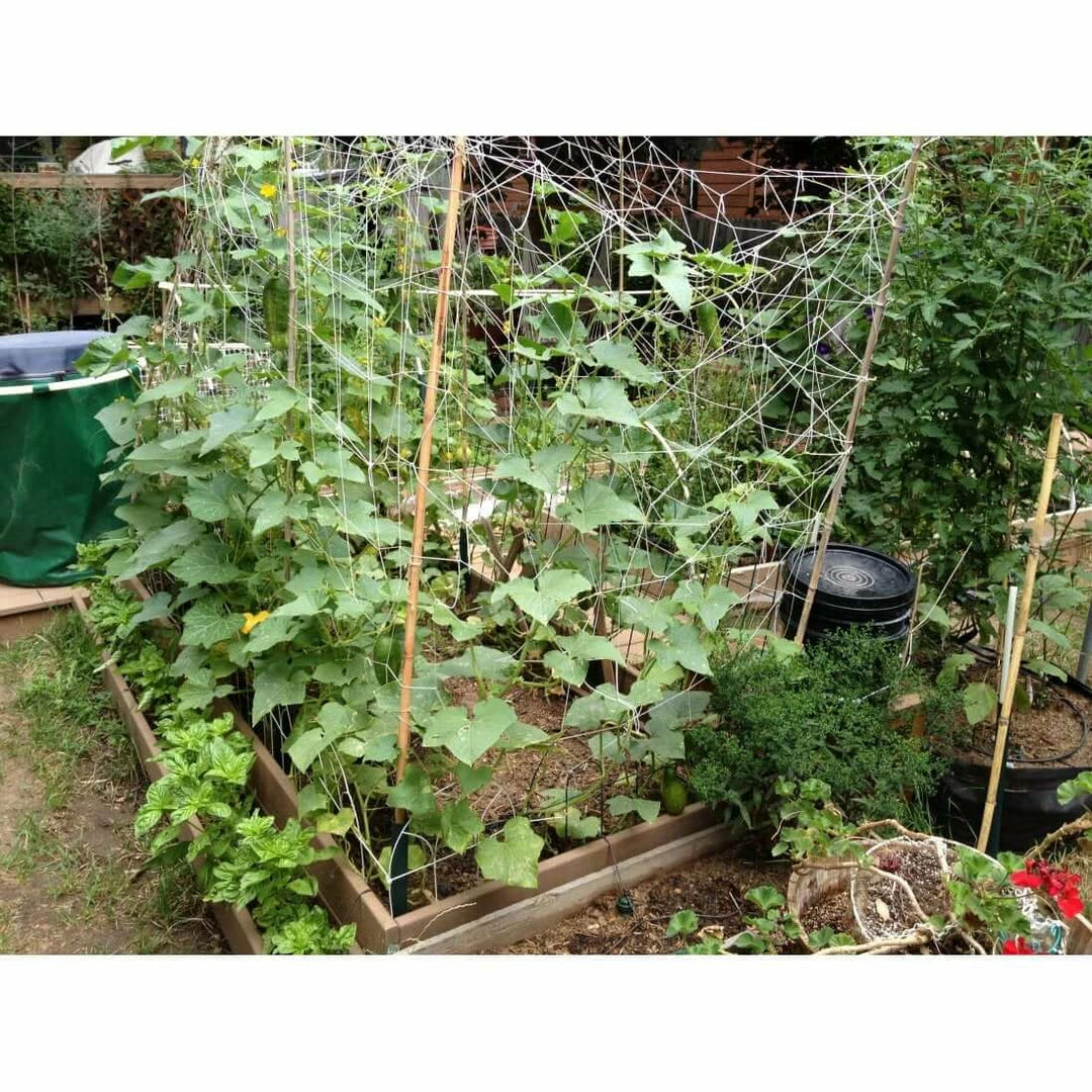 Cheap โ๏ธ Planting & Watering Blumat Large Hose Pressure Garden Kit ๐ 4 Planting & Watering Blumat Large Hose Pressure Garden Kit