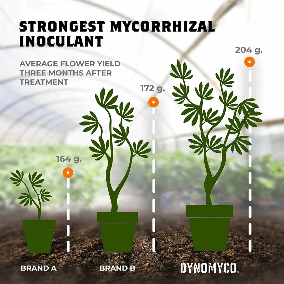 Best Sale ๐ Planting & Watering DYNOMYCO | Premium Mycorrhizal Inoculant ๐คฉ 5 Planting & Watering DYNOMYCO | Premium Mycorrhizal Inoculant