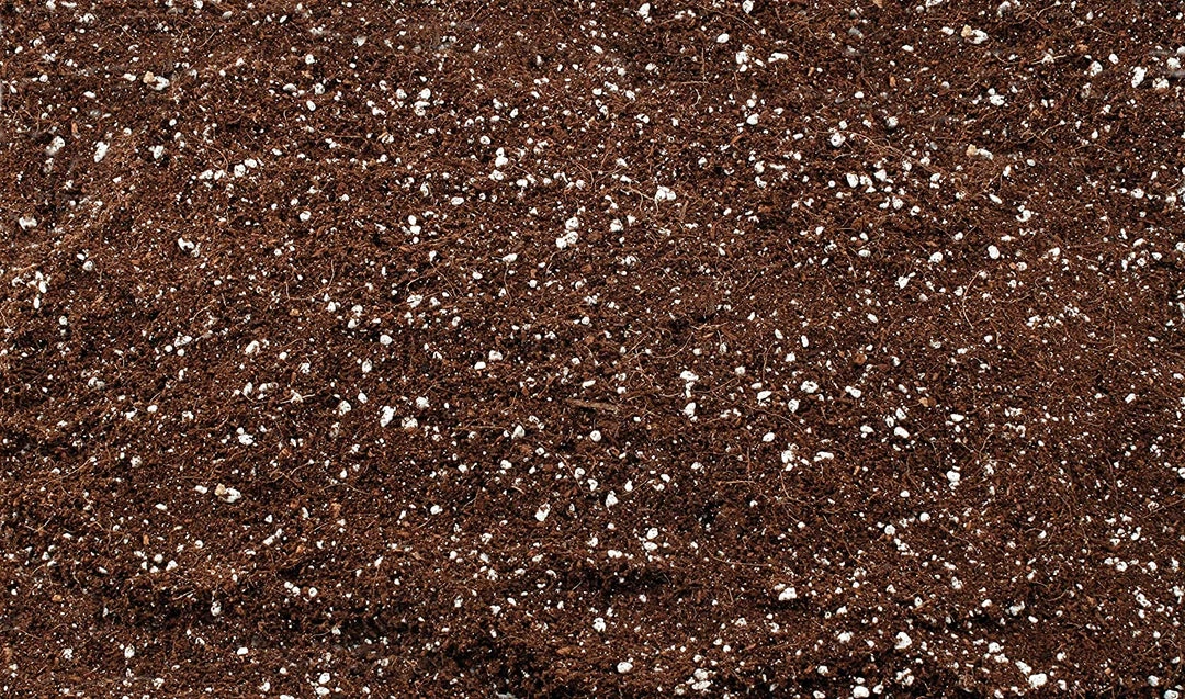 Best Pirce ๐ Planting & Watering ๐ฉ Mother Earth | Coco + Perlite Mix | 1.8 Cu Ft. ๐ 2 Planting & Watering Mother Earth | Coco + Perlite Mix | 1.8 Cu Ft.