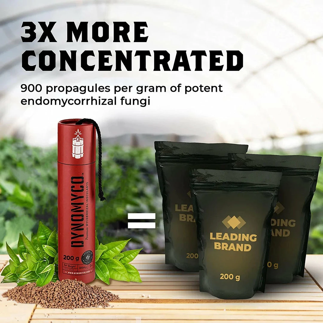 Best Sale ๐ Planting & Watering DYNOMYCO | Premium Mycorrhizal Inoculant ๐คฉ 2 Planting & Watering DYNOMYCO | Premium Mycorrhizal Inoculant