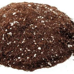 Best Pirce ๐ Planting & Watering ๐ฉ Mother Earth | Coco + Perlite Mix | 1.8 Cu Ft. ๐ 7 Planting & Watering Mother Earth | Coco + Perlite Mix | 1.8 Cu Ft.