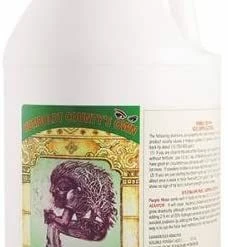 Humboldt County's Own Emerald Triangle Purple Maxx Quart Planting & Watering