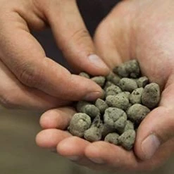 GEOLITE | Clay Pebbles Planting & Watering