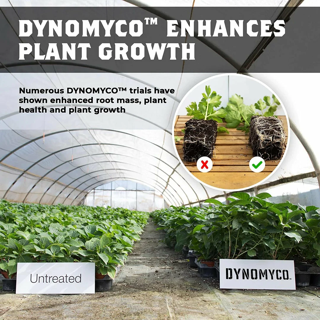 Best Sale ๐ Planting & Watering DYNOMYCO | Premium Mycorrhizal Inoculant ๐คฉ 4 Planting & Watering DYNOMYCO | Premium Mycorrhizal Inoculant