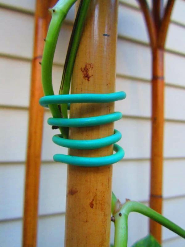 Brand new โค๏ธ Happy Hydro Garden Soft Tie | 26ft Planting & Watering ๐ 2 Happy Hydro Garden Soft Tie | 26ft Planting & Watering