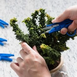 Outlet 🧨 Happy Hydro Mini Clippers - 5 Pack Of Trimming Scissors For Small Plants & Bonsai Pruning Harvest & Essentials 🥰 15 Happy Hydro Mini Clippers - 5 Pack Of Trimming Scissors For Small Plants & Bonsai Pruning Harvest & Essentials