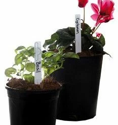 HydroFarm Planting & Watering Plant Stake Labels White 6"x5/8" (50/pk)
