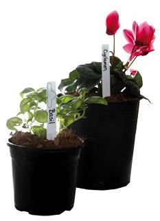 Best reviews of 🧨 HydroFarm Planting & Watering Plant Stake Labels White 6"x5/8" (50/pk) 🌟 2 HydroFarm Planting & Watering Plant Stake Labels White 6"x5/8" (50/pk)