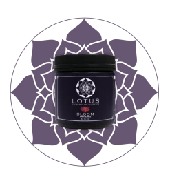 Planting & Watering Lotus Pro Series - Bloom