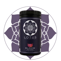 Planting & Watering Lotus Pro Series - Bloom