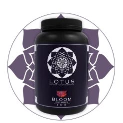 Planting & Watering Lotus Pro Series - Bloom