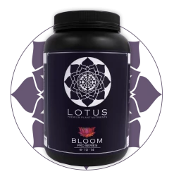Planting & Watering Lotus Pro Series - Bloom