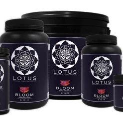 Planting & Watering Lotus Pro Series - Bloom