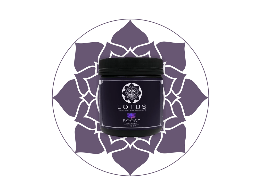 Cheap ⭐ Lotus Pro Series- Boost 💯 5 Lotus Pro Series- Boost