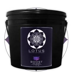 Cheap ⭐ Lotus Pro Series- Boost 💯 12 Lotus Pro Series- Boost