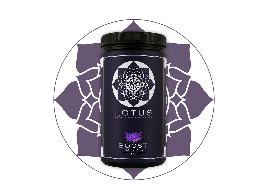 Cheap ⭐ Lotus Pro Series- Boost 💯 1 Lotus Pro Series- Boost