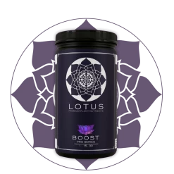 Cheap ⭐ Lotus Pro Series- Boost 💯 14 Lotus Pro Series- Boost