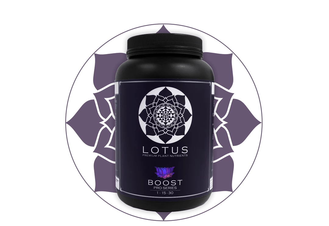 Cheap ⭐ Lotus Pro Series- Boost 💯 2 Lotus Pro Series- Boost