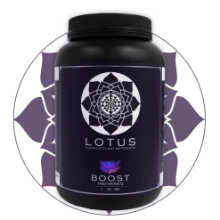 Cheap ⭐ Lotus Pro Series- Boost 💯 11 Lotus Pro Series- Boost