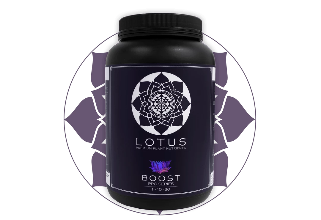 Cheap ⭐ Lotus Pro Series- Boost 💯 3 Lotus Pro Series- Boost