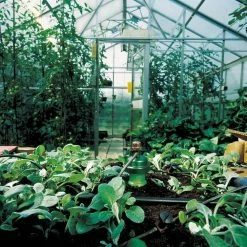 Buy ⭐ Blumat Medium Box Kit - Automatic Irrigation For Up To 12 Plants 💯 11 Blumat Medium Box Kit - Automatic Irrigation For Up To 12 Plants