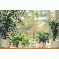 Coupon 💯 Blumat Watering Systems Blumat Classics (Junior) Automatic Watering Stakes (12-Pack) ❤️ 8 Blumat Watering Systems Blumat Classics (Junior) Automatic Watering Stakes (12-Pack)