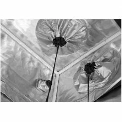 Gorilla Grow Tent 2x2.5