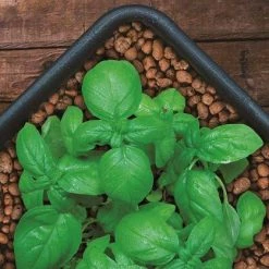 Planting & Watering GROW!T Clay Pebbles, 40 L