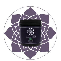 Planting & Watering Lotus Pro Series- Grow