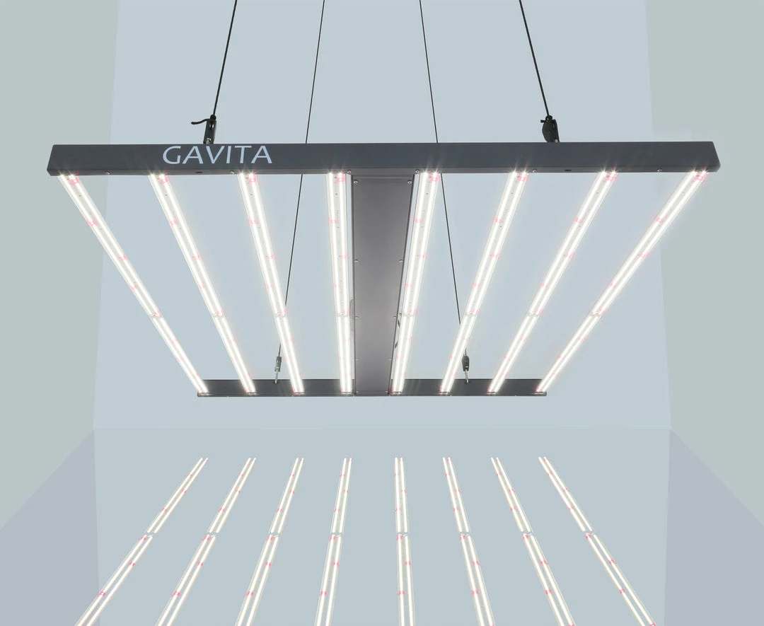 Best Pirce ๐ Gavita | Pro 1700e LED Grow Light | 120-277v Grow Lights ๐ 2 Gavita | Pro 1700e LED Grow Light | 120-277v Grow Lights