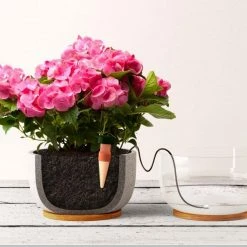 Blumat Classics XL (Junior) Automatic Watering Stakes (2-Pack, XL) Blumat Watering Systems