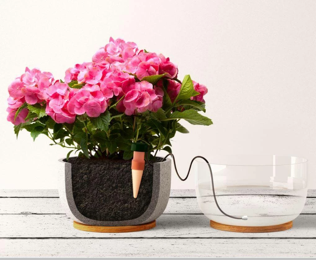 Coupon 💯 Blumat Watering Systems Blumat Classics (Junior) Automatic Watering Stakes (12-Pack) ❤️ 1 Blumat Watering Systems Blumat Classics (Junior) Automatic Watering Stakes (12-Pack)