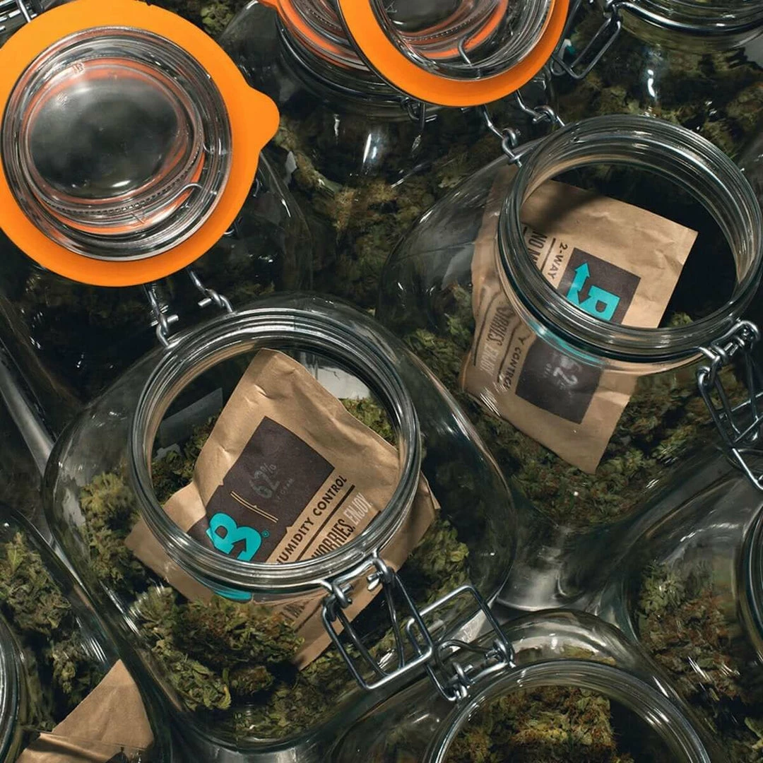 Flash Sale ๐งจ Harvest & Essentials Boveda | Refill For CVault Small Home Combo Kit | 62% RH Humidity Control ๐ 2 Harvest & Essentials Boveda | Refill For CVault Small Home Combo Kit | 62% RH Humidity Control