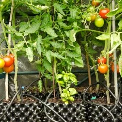 Air-Pot | Container #3 | 2.4 Gal/9.2L | Yellow Base Planting & Watering