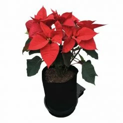 Top 10 ๐ AutoPot Planting & Watering SpringPot 1 System โ๏ธ 5 AutoPot Planting & Watering SpringPot 1 System