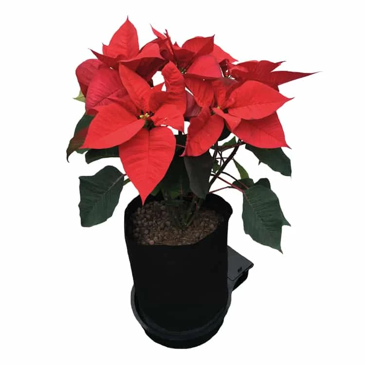 Top 10 ๐ AutoPot Planting & Watering SpringPot 1 System โ๏ธ 3 AutoPot Planting & Watering SpringPot 1 System