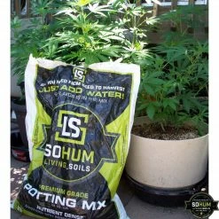 Outlet ❤️ Happy Hydro Beginner Complete Grow Tent Kit | AC Infinity LED | 2’ X 2’ Grow Tent Kits ⭐ 20 Happy Hydro Beginner Complete Grow Tent Kit | AC Infinity LED | 2’ X 2’ Grow Tent Kits