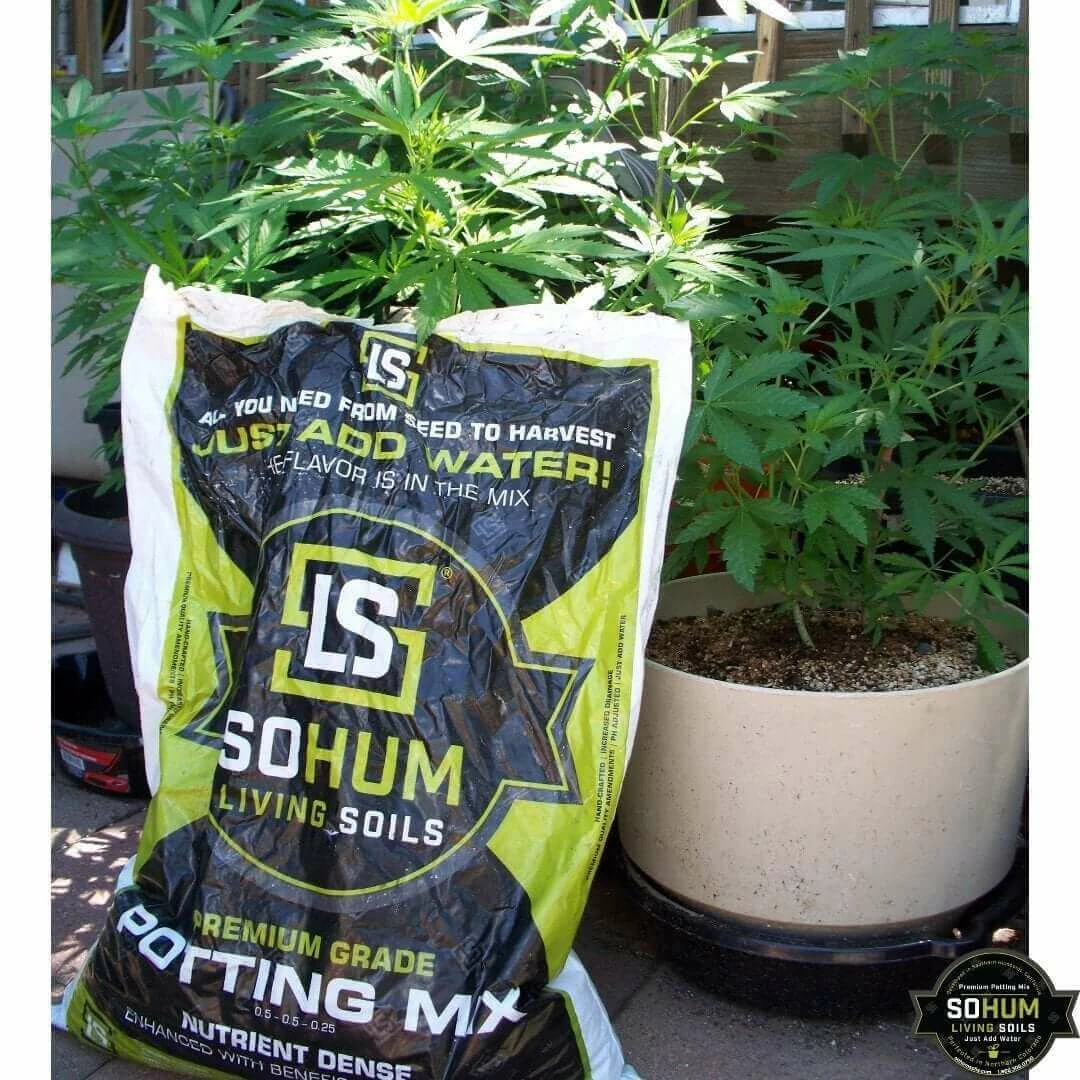 Flash Sale ๐ฏ Happy Hydro Grow Tent Kits Beginner Grow Tent Kit | Without The Light | 4โ X 4โ ๐งจ 6 Happy Hydro Grow Tent Kits Beginner Grow Tent Kit | Without The Light | 4โ X 4โ