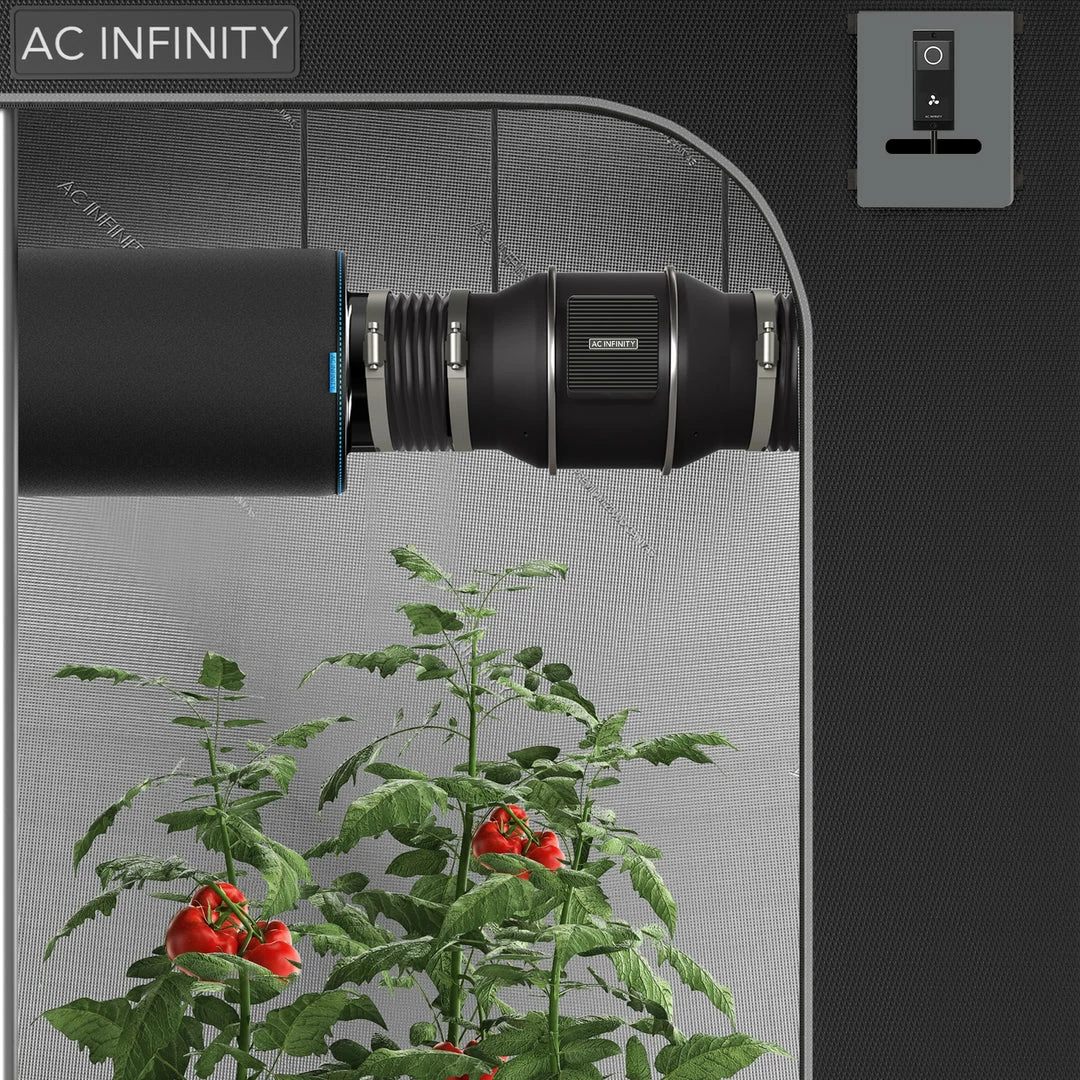 Budget ๐ AC Infinity Tent & Ventilation Kit | 2โ X 2โ Grow Tent Kits ๐ 2 AC Infinity Tent & Ventilation Kit | 2โ X 2โ Grow Tent Kits