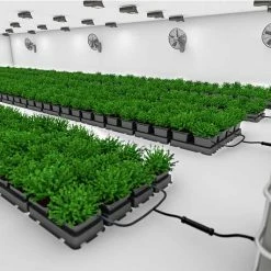 AutoPot Easy2grow 80