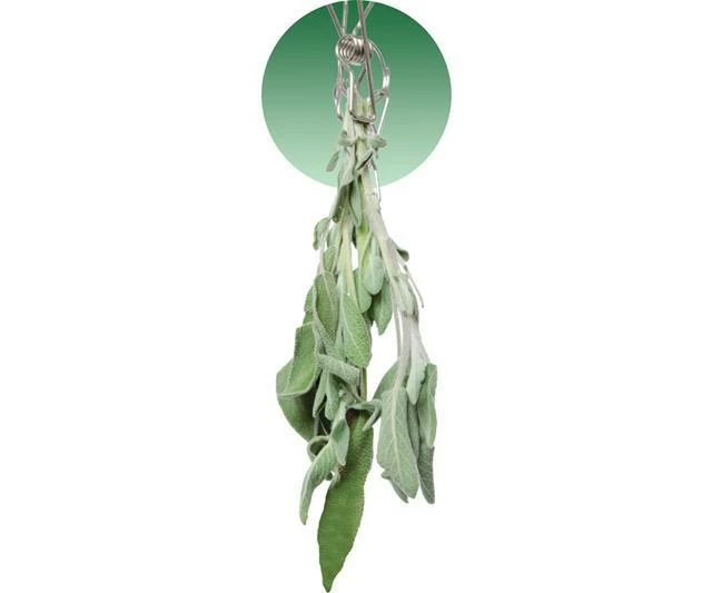 Best reviews of 🛒 Grow!T STACK!T Hanging Dry Rack W/28 Clips Harvest & Essentials ⭐ 2 Grow!T STACK!T Hanging Dry Rack W/28 Clips Harvest & Essentials