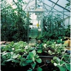 Blumat Potted Plant Watering Set For 10 To 15 Gallon Pots Planting & Watering