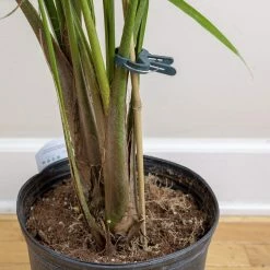 Buy โจ Planting & Watering Happy Hydro Spring-Loaded Plant Clips ๐ 9 Planting & Watering Happy Hydro Spring-Loaded Plant Clips