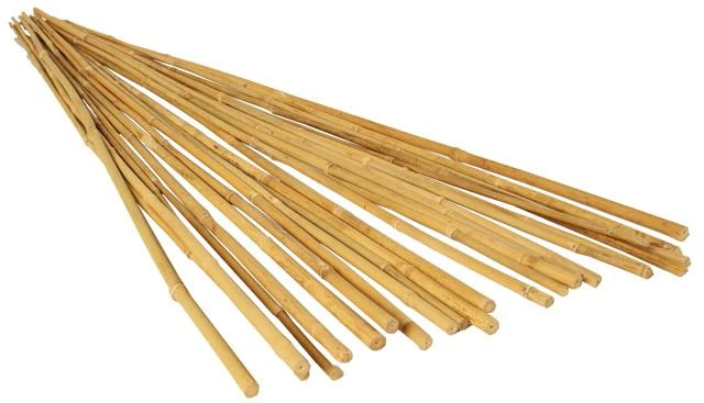 Best deal ๐ GROW!T 4' Bamboo Stakes, Pack Of 25 ๐ 1 GROW!T 4' Bamboo Stakes, Pack Of 25