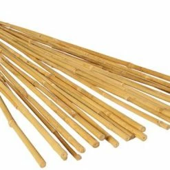Best deal ๐ GROW!T 4' Bamboo Stakes, Pack Of 25 ๐ 5 GROW!T 4' Bamboo Stakes, Pack Of 25